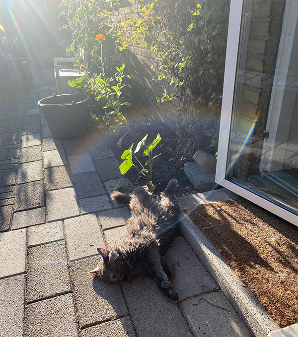 The 5 Clairs, Queenie, Teacher, Spiritual Business Coach, Maria Saraphina